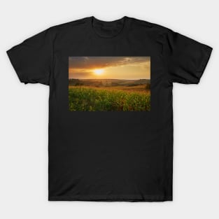 Corn field at sunset T-Shirt